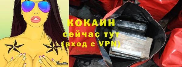твердый Богородск