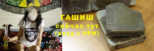 дживик Богородицк