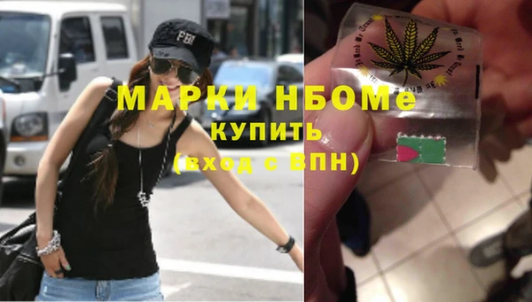 дживик Богородицк