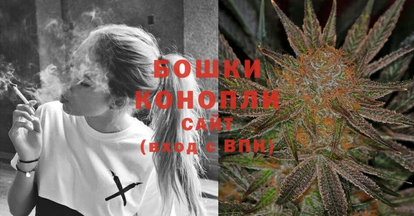 твердый Богданович