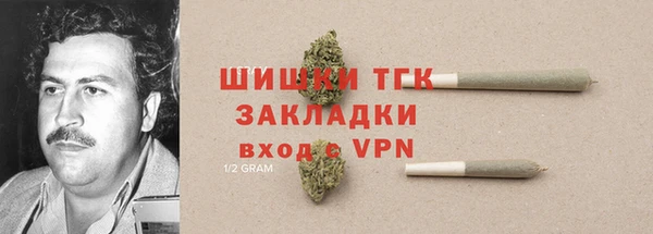 твердый Богданович
