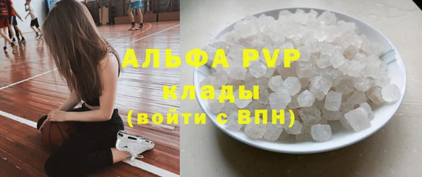 дживик Богородицк