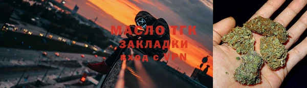 твердый Богданович