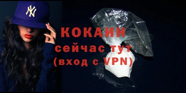 дживик Богородицк