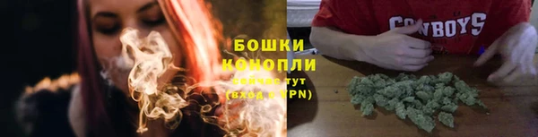 твердый Богданович