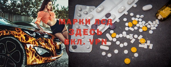 твердый Богданович