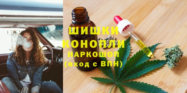 твердый Богородск