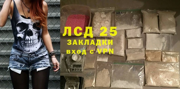 дживик Богородицк