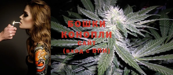 дживик Богородицк