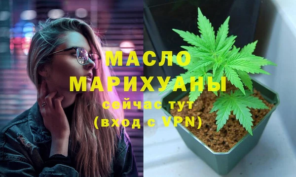 дживик Богородицк
