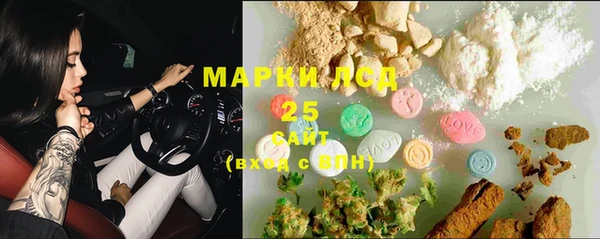 твердый Богданович
