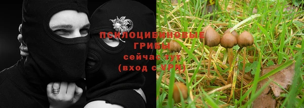 твердый Богданович