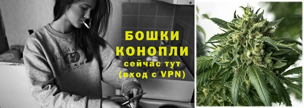 твердый Богданович