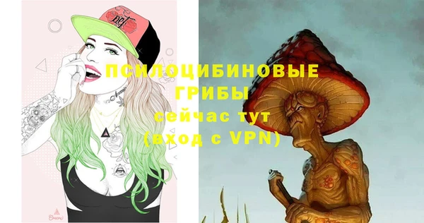 дживик Богородицк